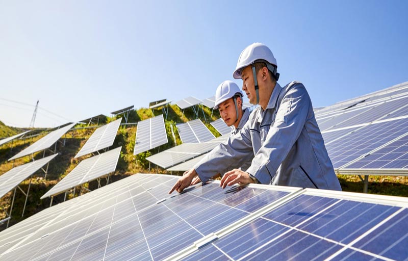  11.5 مليون فرصة عمل وفرها قطاع الطاقة المتجددة العام الماضي