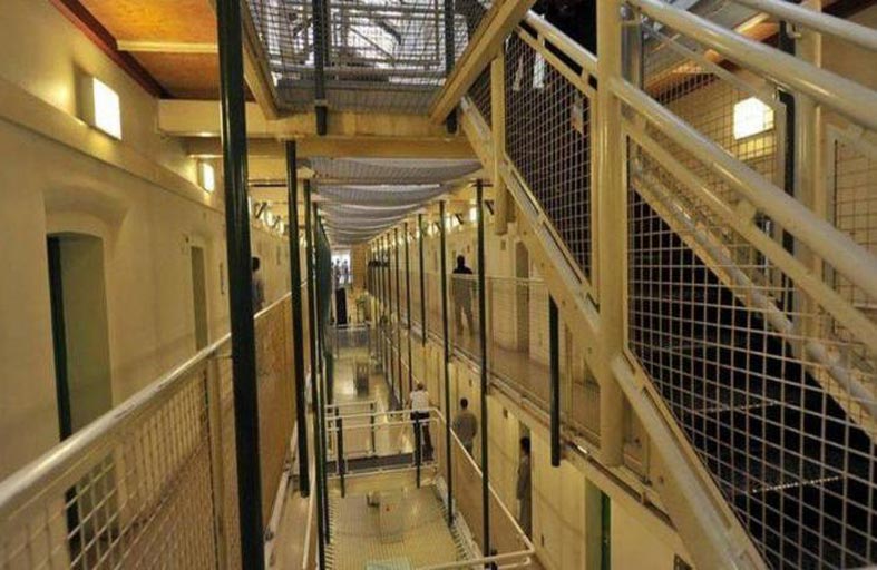 السجون البريطانية.. غزو فئران وأمراض