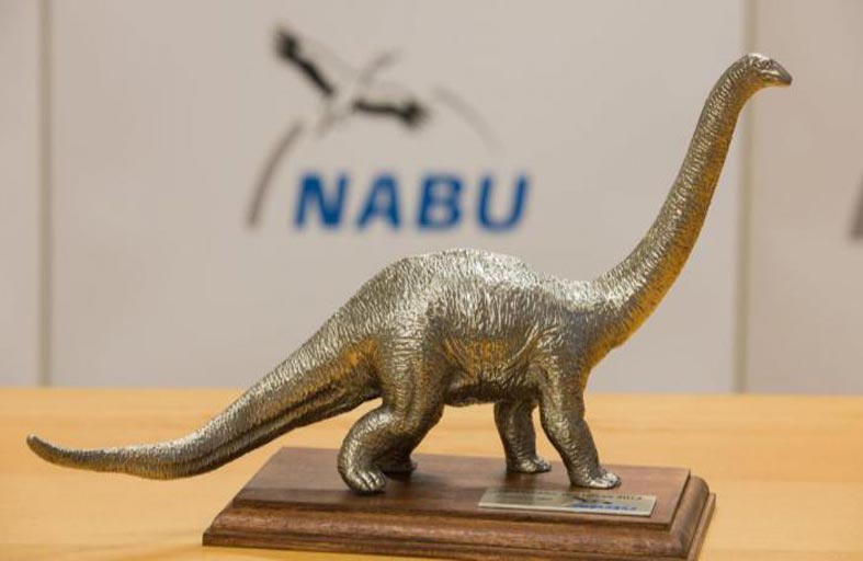 جائزة ديناصور العام السلبية لطريق سريع