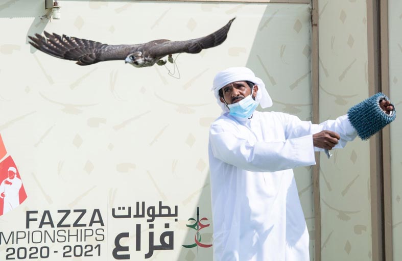 منافسات قوية للمحليين في بطولة فخر الأجيال للصيد بالصقور «التلواح»