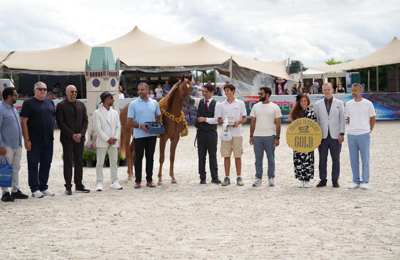 مربط دبي يحرز ثلاثية ذهبية ولقب برونزي في براغ الدولية 2024