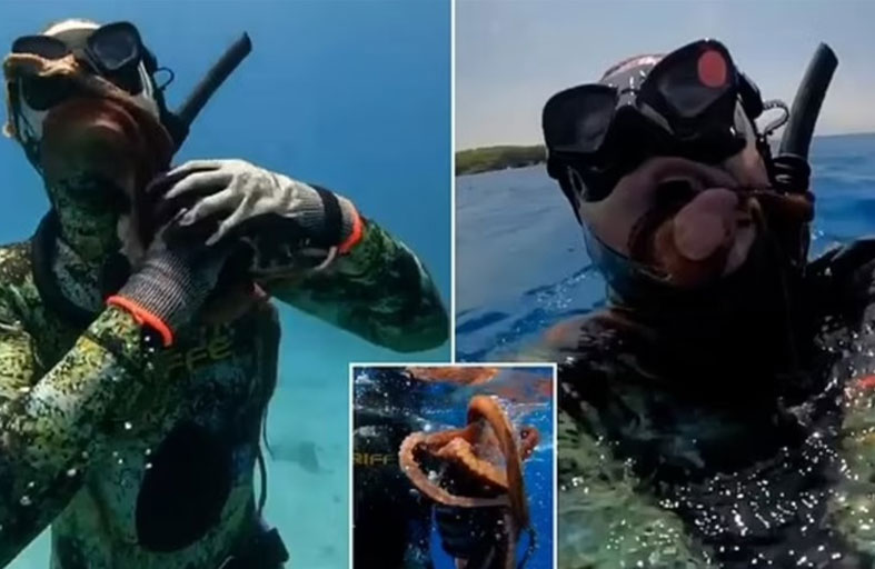 أخطبوط يخنق غواصا يحقق 3 ملايين مشاهدة