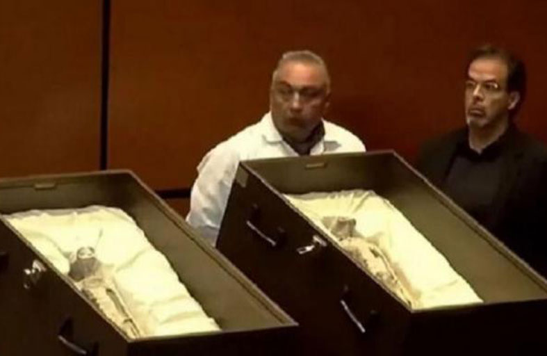 كائنات المكسيك.. لا تمت بصلة للارض