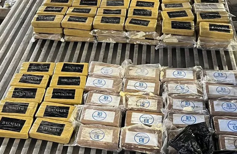 مخدرات قيمتها 153 مليون دولار داخل شحنة موز