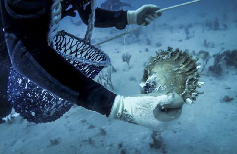 غواصون يحتشدون لإنقاذ لؤلؤة قرغيزستان 