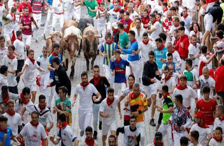 الثيران تسقط 52 جريحاً في إسبانيا