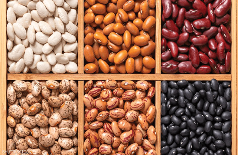 الفاصولياء على المائدة كل يوم.. دراسة تكشف «الفوائد الكبيرة»