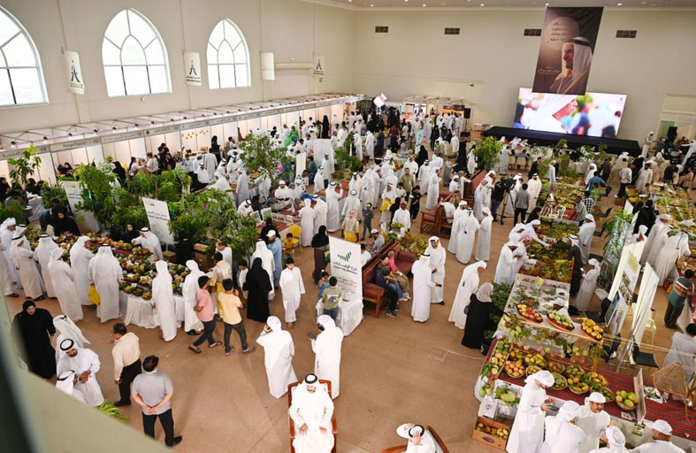 مهرجان خورفكان للمانجو 2025 يستقطب 20 ألف زائر