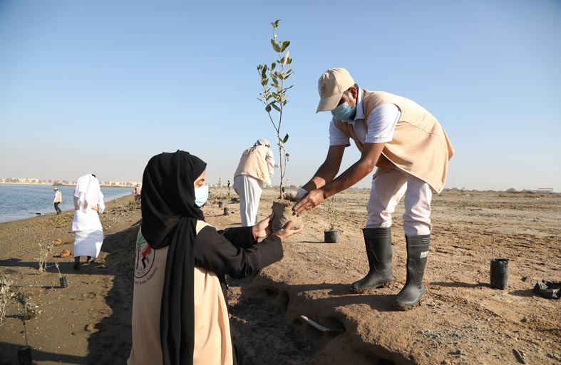 هيئة البيئة والمحميات الطبيعية تنفذ مبادرة جديدة لتشجير محمية القرم في يوم البيئة الوطني