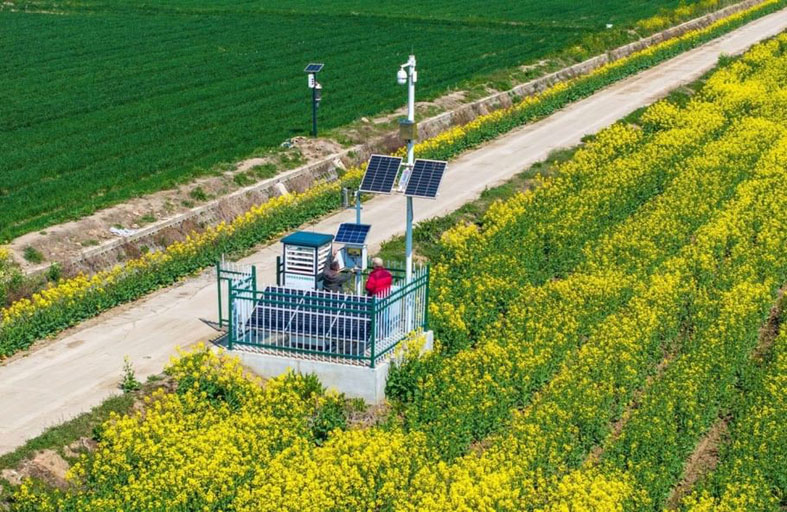 الصين تعزز استخدام الذكاء الاصطناعي في الزراعة الذكية لرفع الإنتاجية