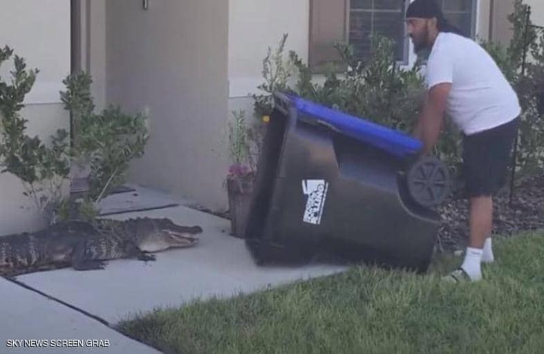 يصطاد تمساحا عملاقا بحاوية قمامة