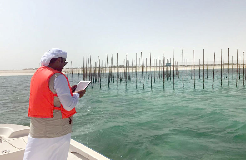 الصيد المستدام في الإمارات.. خطوات متقدمة في المحافظة على البيئة البحرية وتعزيز الثروة السمكية