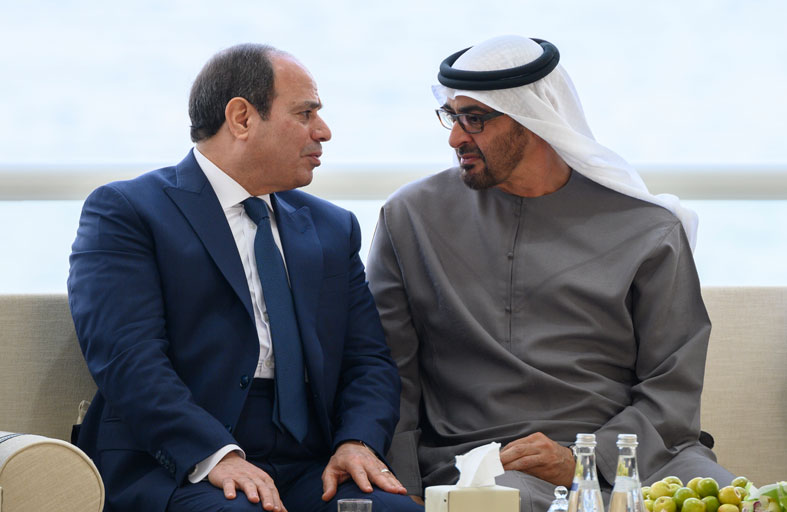 رئيس الدولة يستقبل الرئيس المصري 