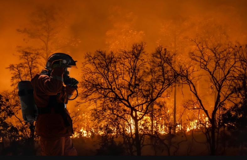 أودت بـ 130 ضحية.. اتهام رجل إطفاء بإشعال حرائق غابات 