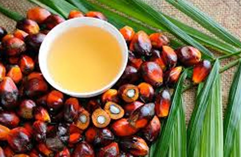 هل يؤثر زيت النخيل على مستوى الكوليسترول؟