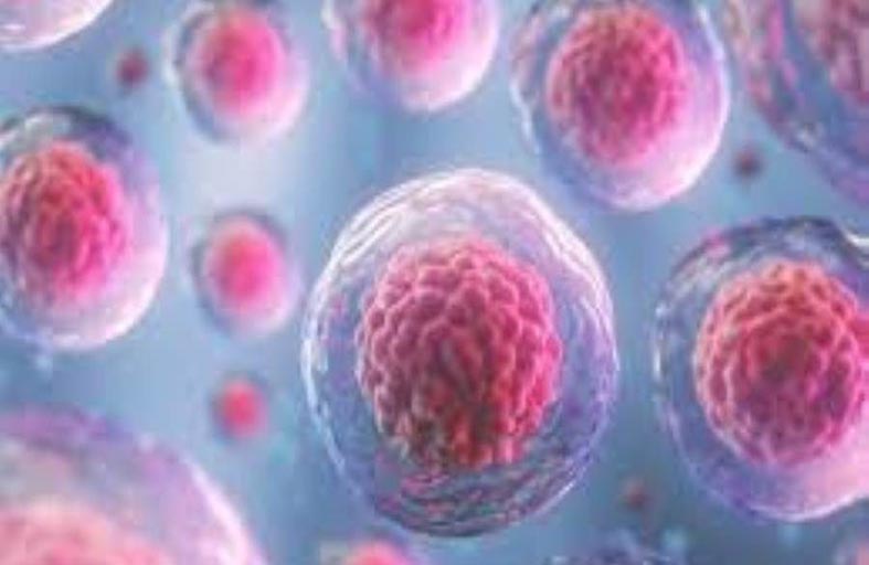 الخلايا تخرج الفضلات قبل الانقسام