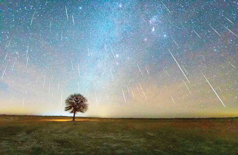 البرشاويات .. زخات شهب ذروتها يومي 12 و 13 أغسطس 