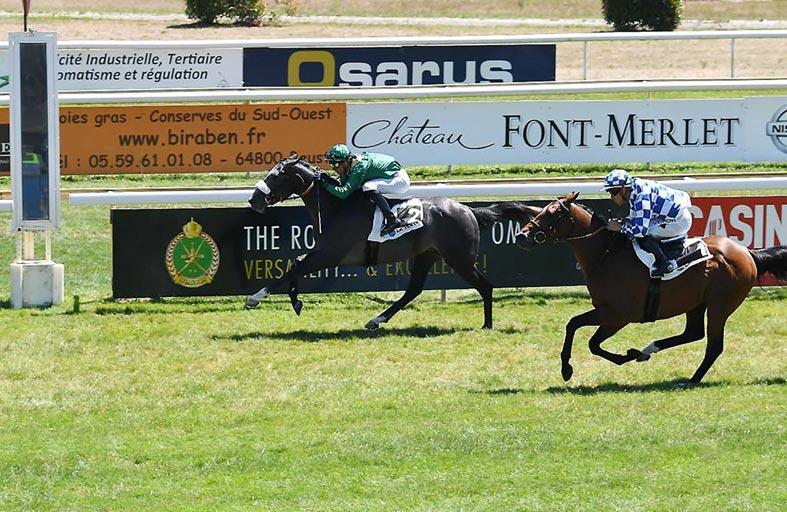 نخبة الخيول العربية الأصيلة تتنافس في سباق «بري دورمان» بفرنسا