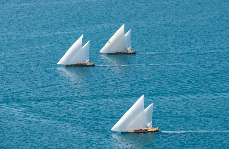 أشرعة «أبو الأبيض» تبحر اليوم في مياه أبوظبي