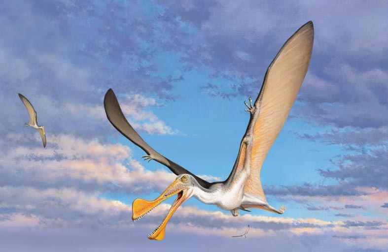 اكتشاف زواحف طائرة عمرها 100 مليون عام