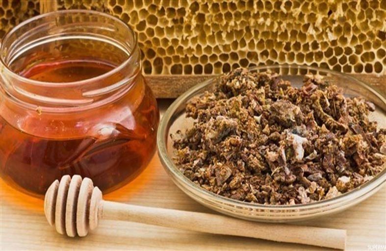 صمغ النحل يزيد كثافة الشعر