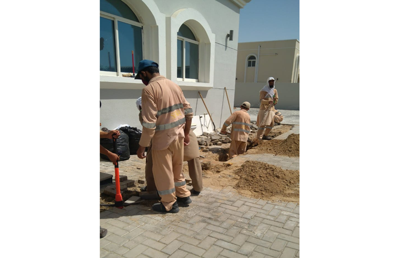 توصيل الكهرباء لأكثر من 1501 مبنى والتفتيش الميداني على 605 في الشارقة خلال سبتمبر