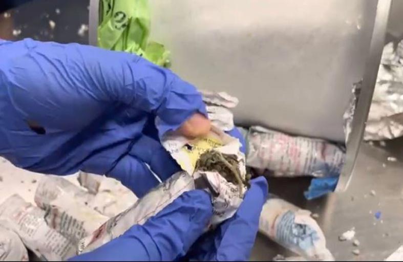 جمارك دبي تضبط 3.7 كيلوجرام «ماريجوانا» مع مسافر بالمطار