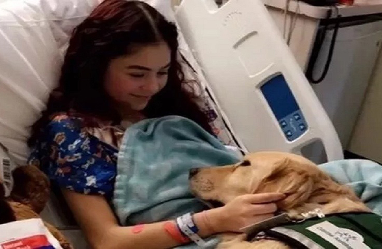 نجت من السرطان مرتين.. وماتت بحادث سيارة