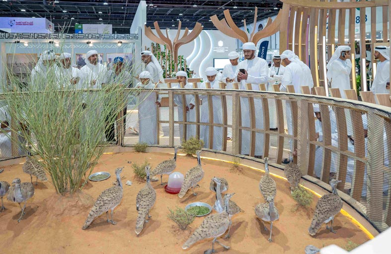 الصندوق الدولي للحفاظ على الحبارى يشارك في معرض أبوظبي للصيد والفروسية 2024 