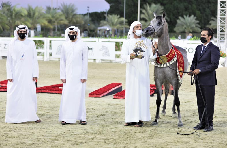 مربط دبي يسطر ثلاثية ذهبية في السلالة المصرية