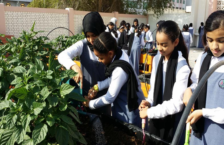 الاتحاد النسائي .. بصمات واضحة في مسيرة تمكين المرأة ومبادرات للحفاظ على استدامة البيئة