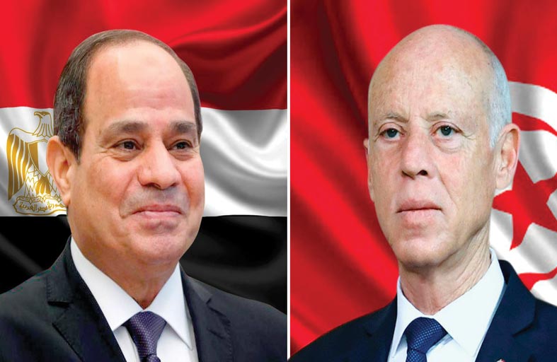 السيسي وسعيد، وحديث عن تسميم العقول والأفكار