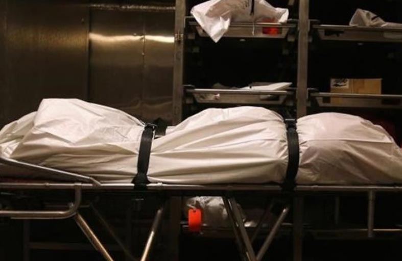 اختفت أسبوعين وعثروا عليها معلّقة في شجرة