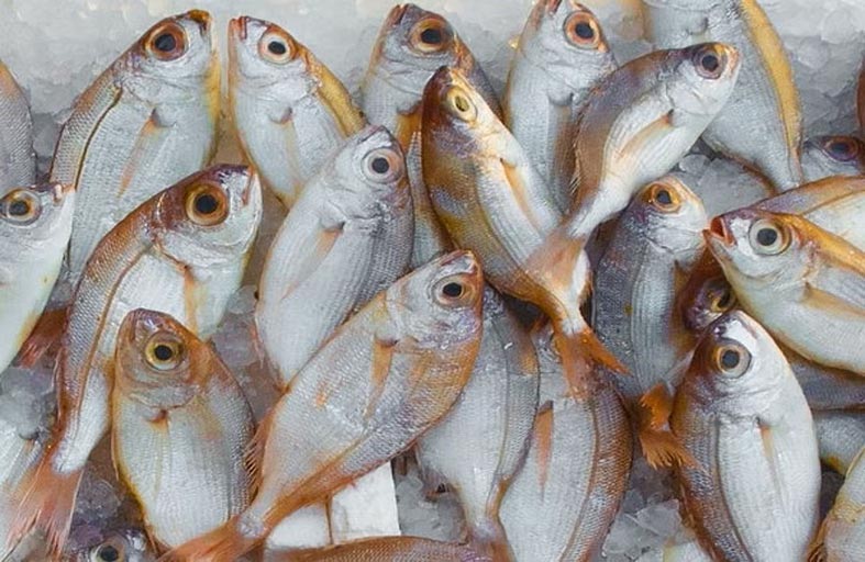 خبيرة تغذية تحدد الأطعمة التي تبطئ شيخوخة الجسم