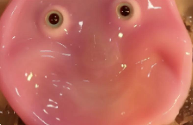 ابتكار روبوت يمكنه أن يبتسم مثل الإنسان