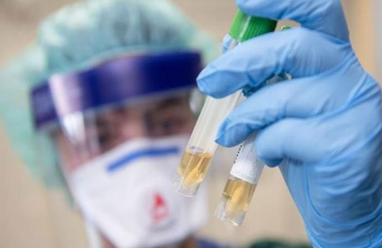 علماء ينجحون في فك الشفرة الوراثية لكورونا