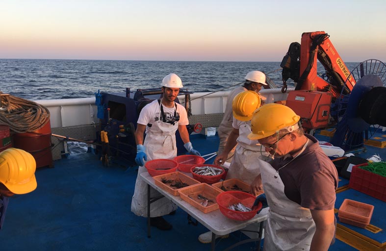 الاستزراع السمكي في الدولة قادر على سد احتياجات السوق المحلي  