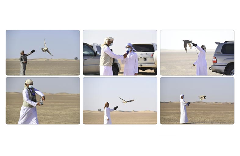 تواصل منافسات بطولة تحديات الزاجل للصقارة بمنطقة بدع العشوش