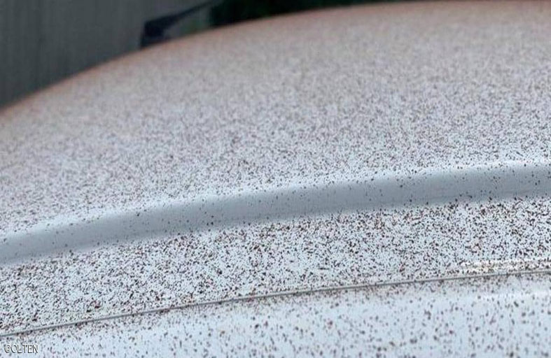 حدث بالفعل.. السماء تمطر شوكولاتة!