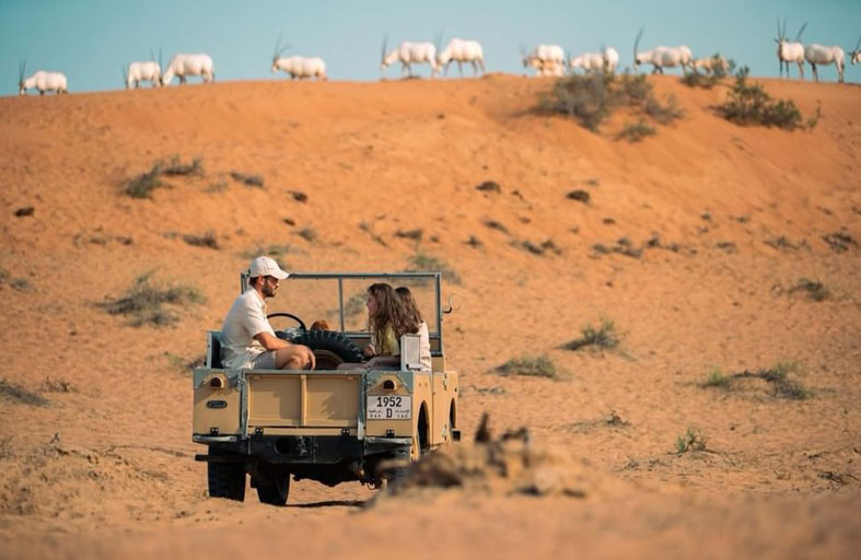 قطاع السياحة برأس الخيمة يواصل نجاحاته بتسجيل أداء قياسي خلال النصف الأول