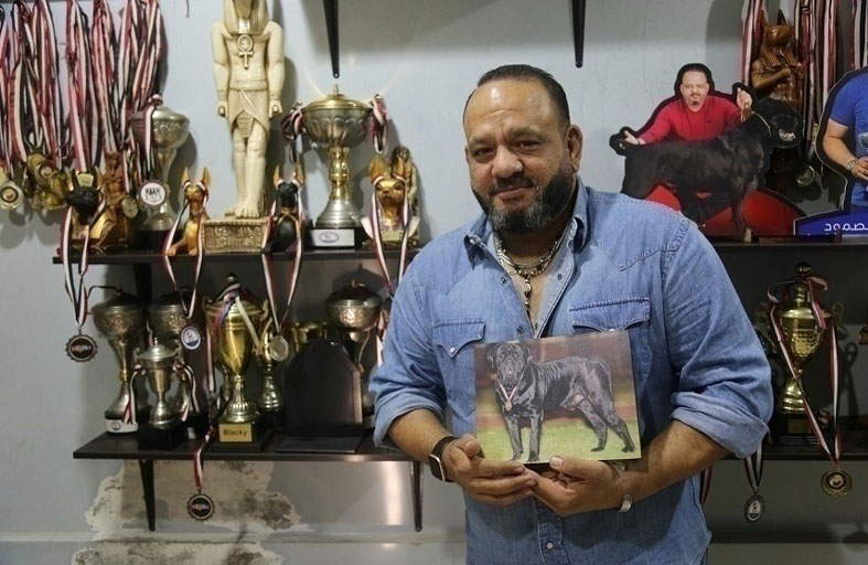 مصري يمتلك مزرعة لأشرس كلاب في العالم