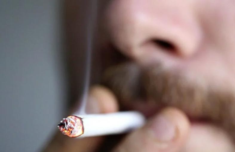 تحذير من أضرار صناعة التبغ على البيئة 