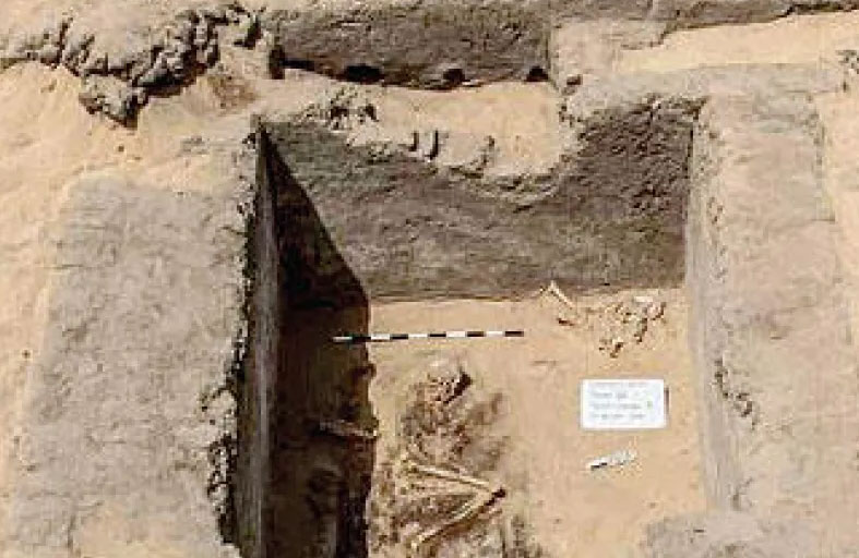 كشف حقيقة ذبح طفل قرباناً لمقبرة أثرية