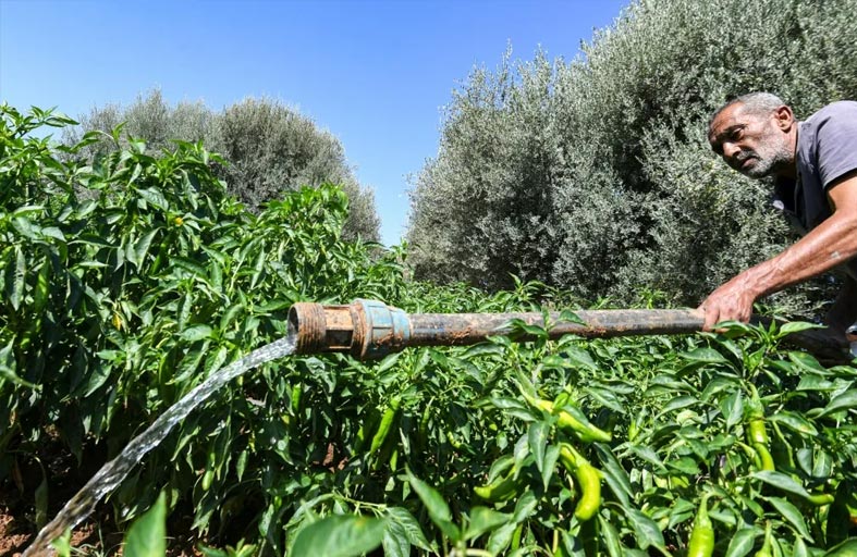 مشروع مائي نموذجي لسقي مزارع تونس العطشى 