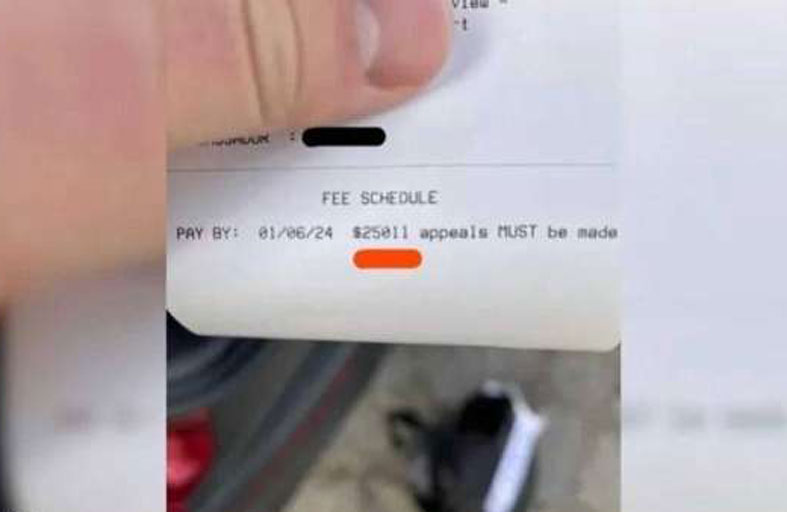 قيمتها 25 ألف دولار.. مخالفة مواقف غير عادية