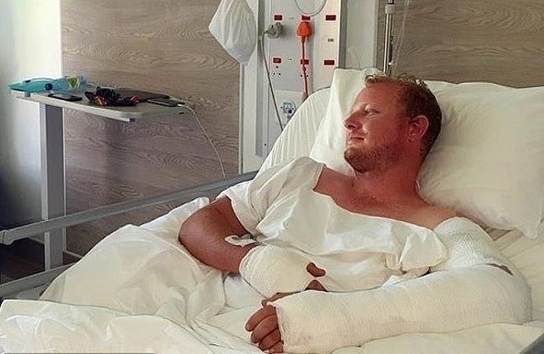 باحث يلكم أسداً حاول أكله حياً