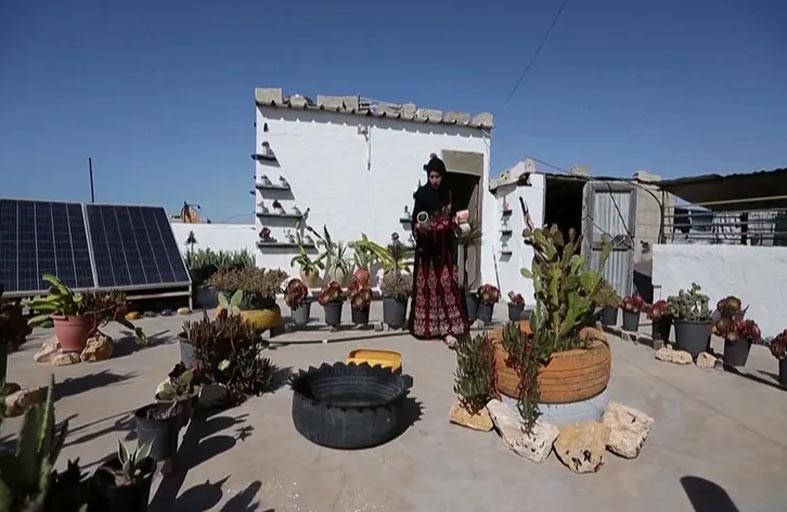 زوجان يحولان سطح منزلهما لرقعة خضراء