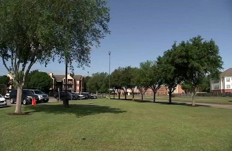 تكساس تنوي استخدام الأشجار لمكافحة الجريمة