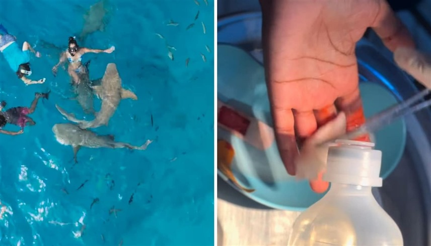 قرش يحوّل إجازة مؤثرة روسية إلى كابوس