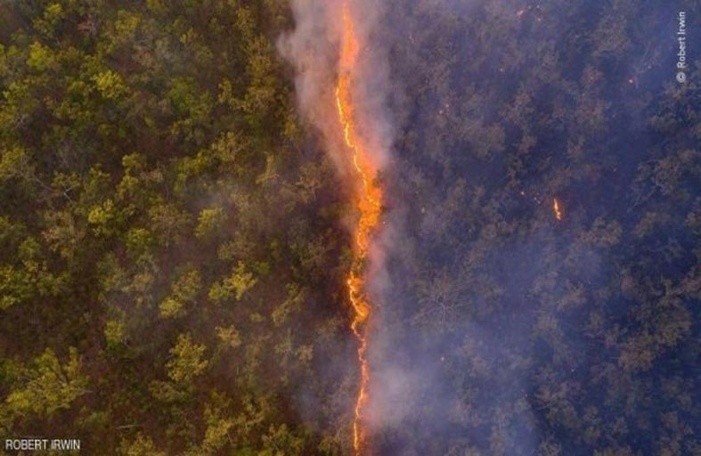 تعرف على تفاصيل أحسن صورة للحياة البرية